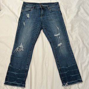 KUT from the Kloth 6